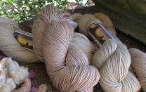 Southern Exposure Yarn